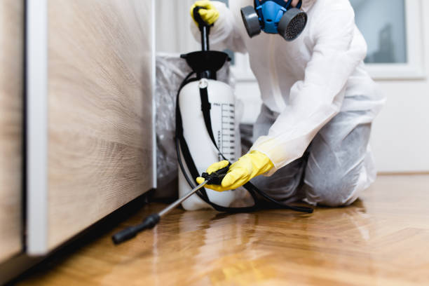 Best Affordable Pest Control Services  in Flemington, NJ