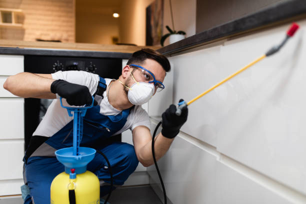 Reliable Flemington, NJ Pest Control Solutions