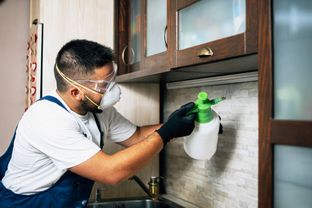 Best Mosquito Control Services  in Flemington, NJ
