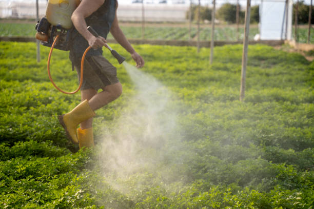 Best Pest Prevention Services  in Flemington, NJ