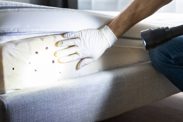 Best Emergency Pest Control  in Flemington, NJ