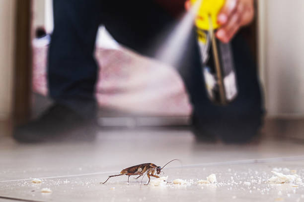 Best Exterminator Services  in Flemington, NJ