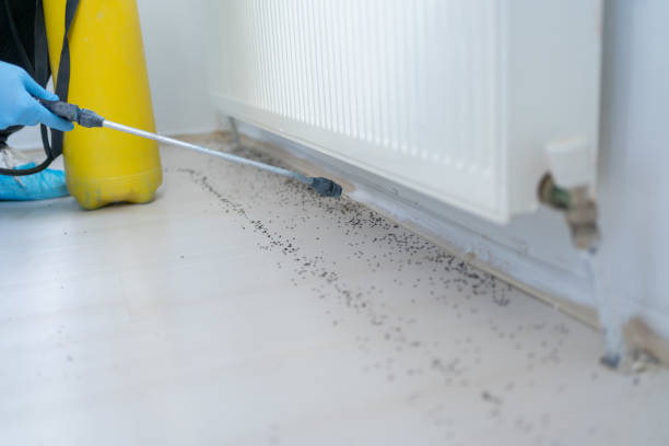 Best Pest Control for Businesses  in Flemington, NJ